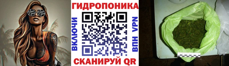 Где купить Заречный Марихуана  Кокаин  A-PVP  Гашиш 