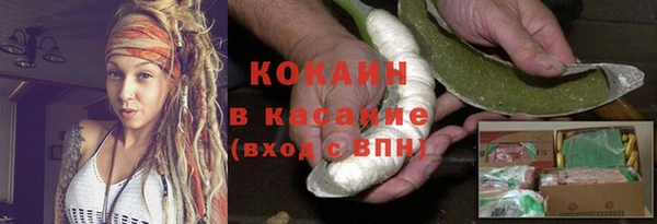 mdpv Вяземский