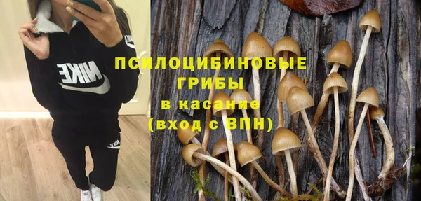 mdpv Вяземский