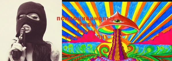 сатива Горнозаводск