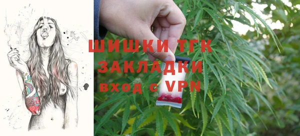 mdpv Вяземский